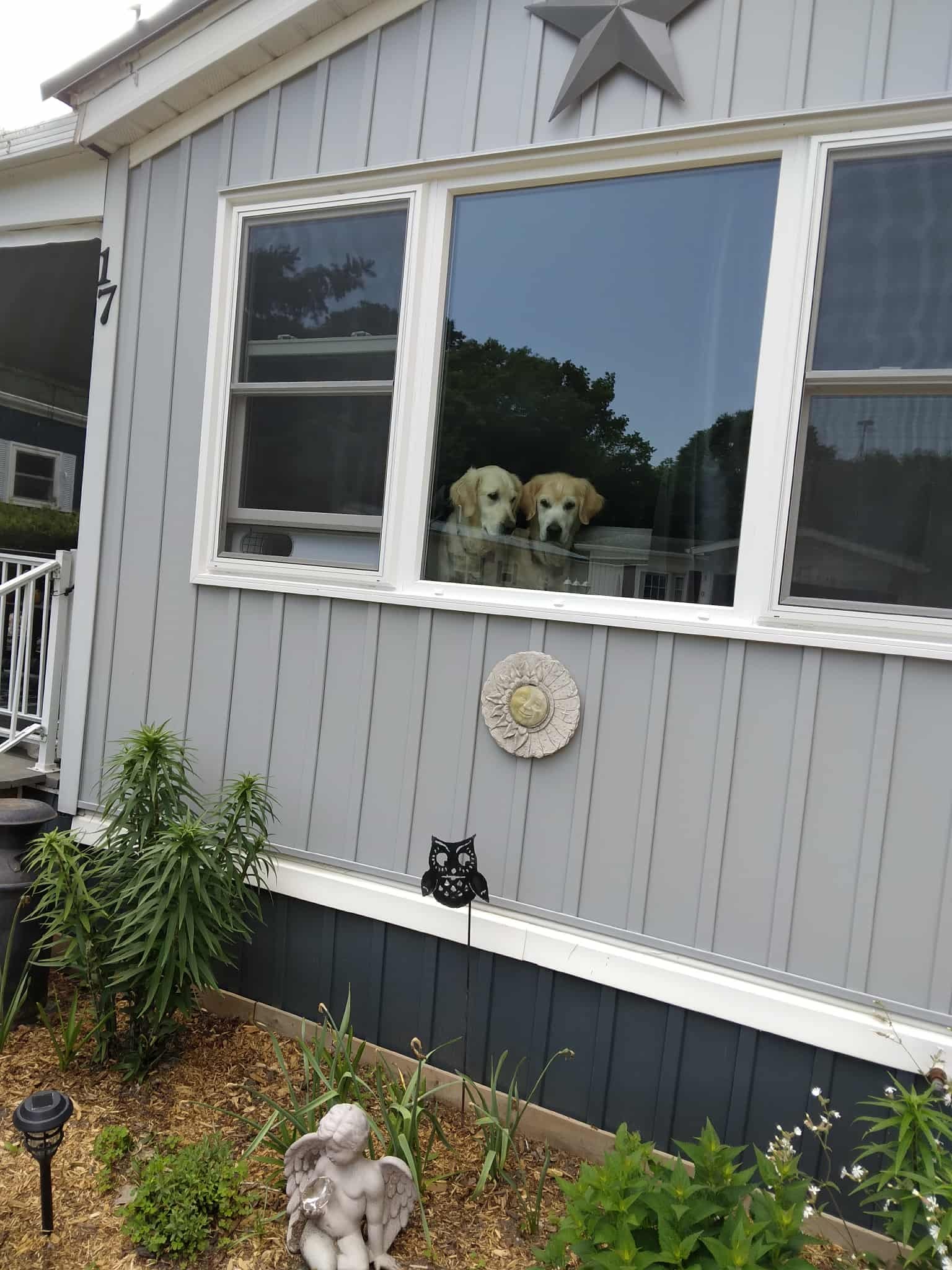 Community grounds at Valley Creek Estates